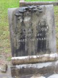 image of grave number 447109